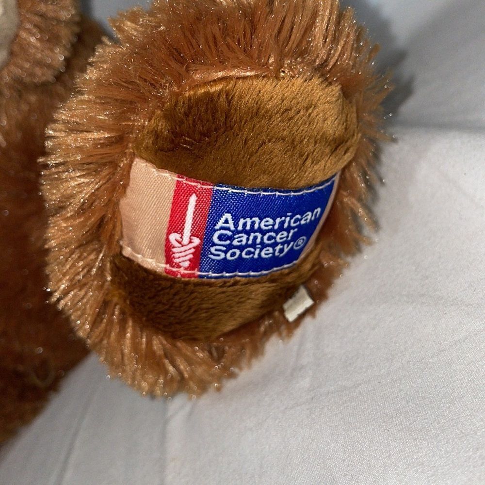 Super soft teddy bear - Picture 2 of 6